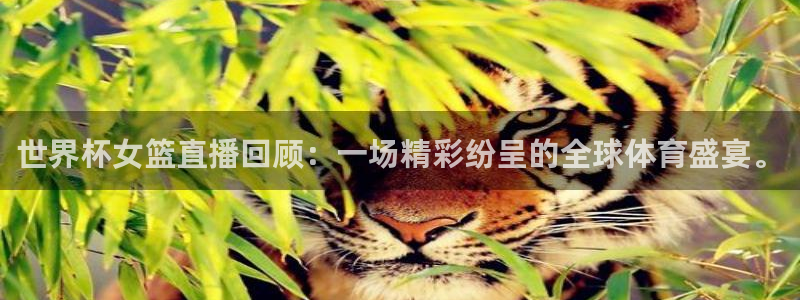 英格兰联赛杯直播：世界杯女篮直播回顾：一场精彩纷呈的全球体育盛宴。