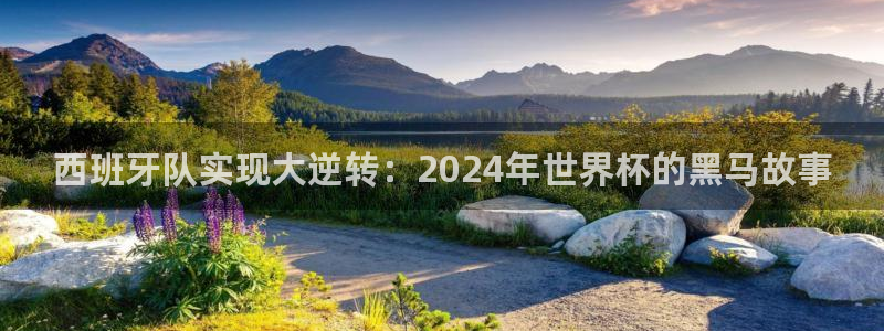 足球杯：西班牙队实现大逆转：2024年世界杯的黑马故事