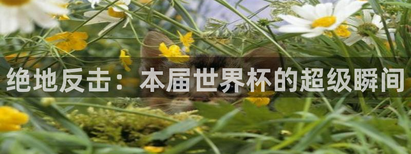 2026世界杯欧洲预选赛赛程表：绝地反击：本届世界杯的超级瞬间