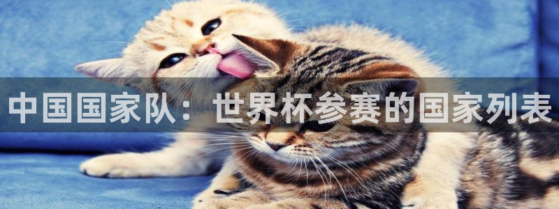 世界杯亚洲区预选赛积分榜：中国国家队：世界杯参赛的国家列表