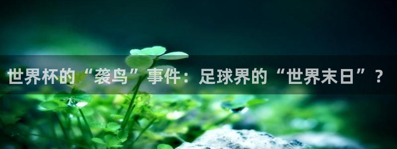 2026世界杯直播：世界杯的“袭鸟”事件：足球界的“世界末日”？