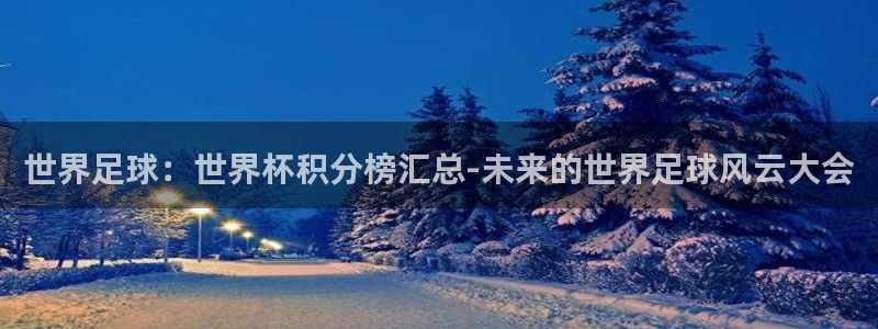 世界杯预选赛2026：世界足球：世界杯积分榜汇总-未来的世界足球风云大会