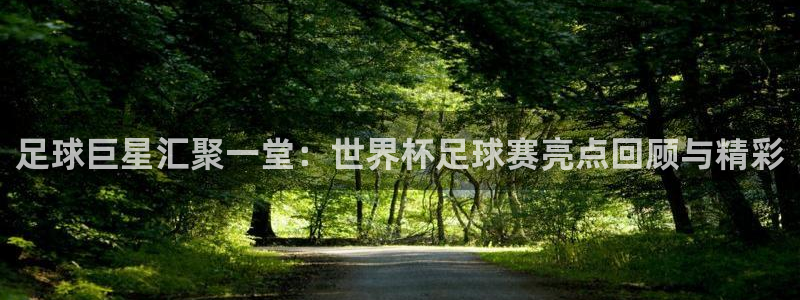 预选赛世界杯：足球巨星汇聚一堂：世界杯足球赛亮点回顾与精彩