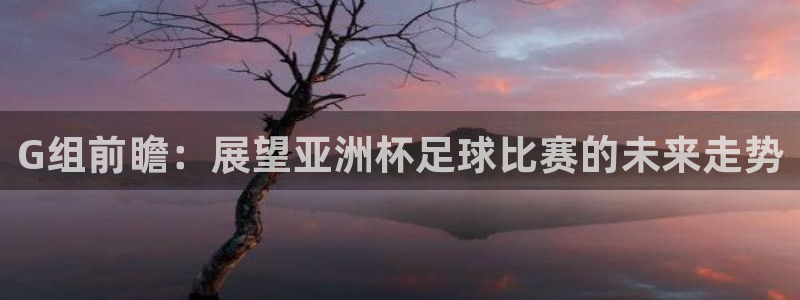 世界杯预选赛欧洲区赛程：G组前瞻：展望亚洲杯足球比赛的未来走势