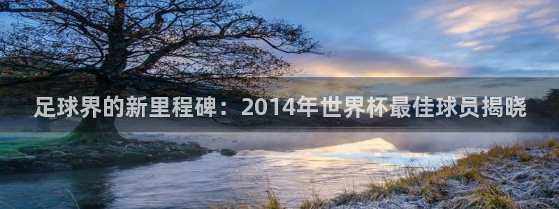 世界杯预选赛欧洲赛区赛程：足球界的新里程碑：2014年世界杯最佳球员揭晓