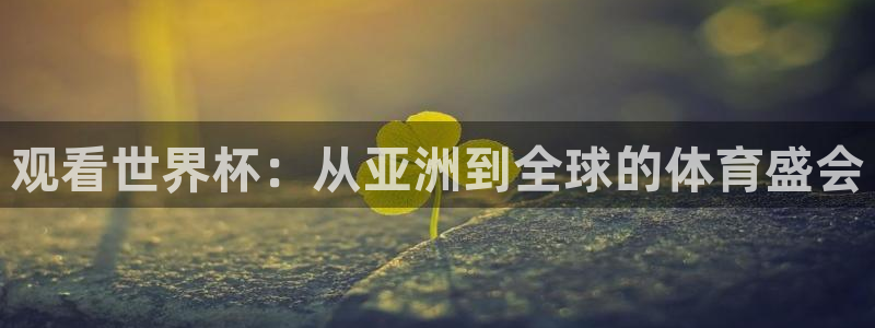 联赛杯直播：观看世界杯：从亚洲到全球的体育盛会