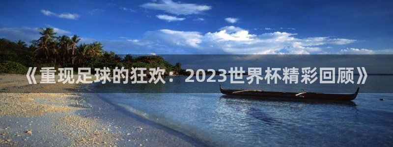 今年的世界杯：《重现足球的狂欢：2023世界杯精彩回顾》