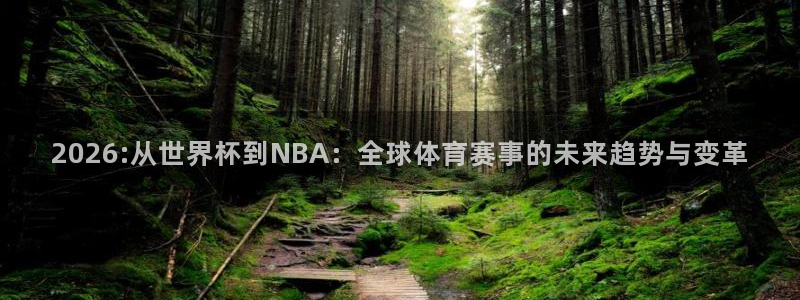 世界杯预选赛欧洲赛区积分榜：2026:从世界杯到NBA：全球体育赛事的未来趋势与变革