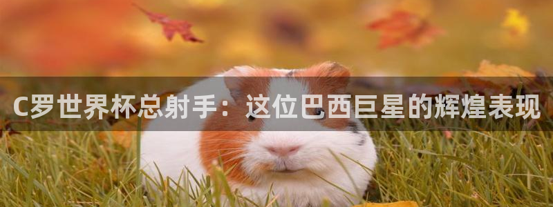 美国世界杯：C罗世界杯总射手：这位巴西巨星的辉煌表现